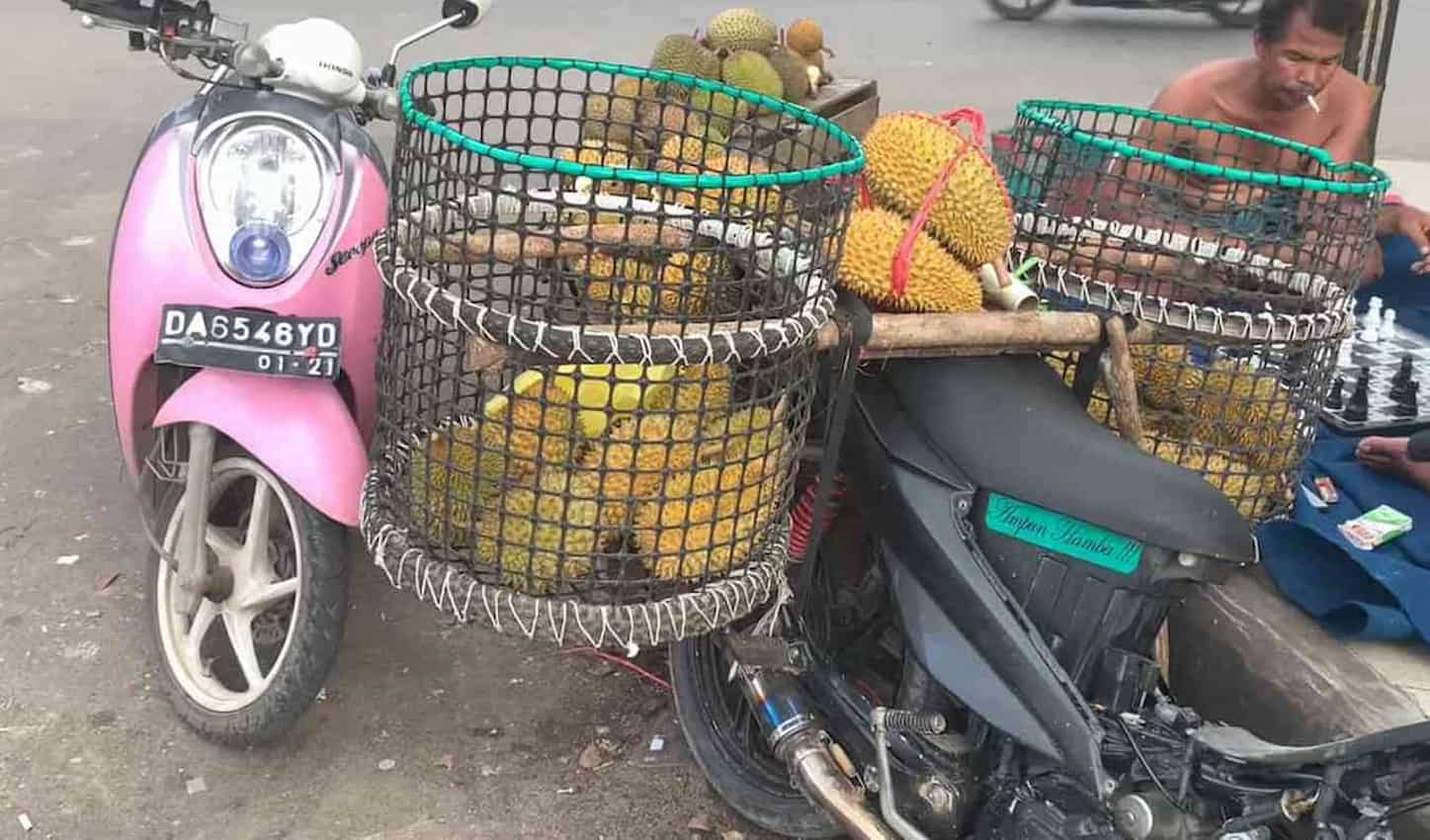 Durian Tong Medaye Si Raja Buah Unggulan Dari Tanah Mataram